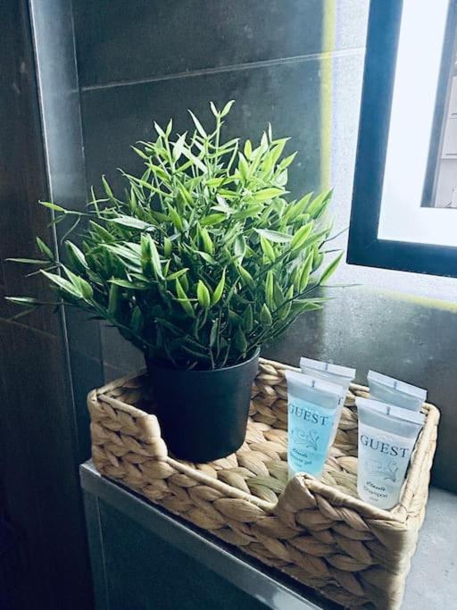 Apartament Stary Szczecin Luaran gambar