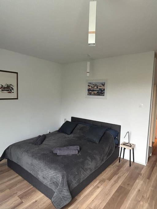 Apartament Stary Szczecin Luaran gambar