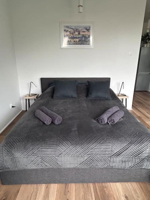 Apartament Stary Szczecin Luaran gambar